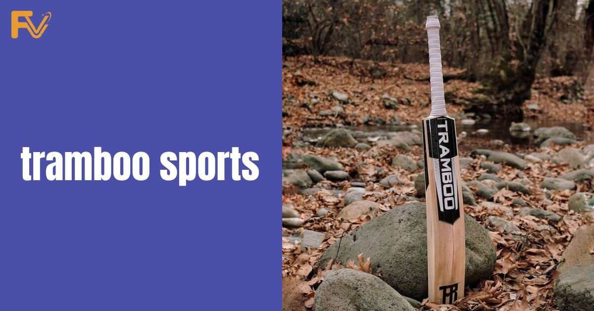 Tramboo Sports Company Revenue, Growth & Journey